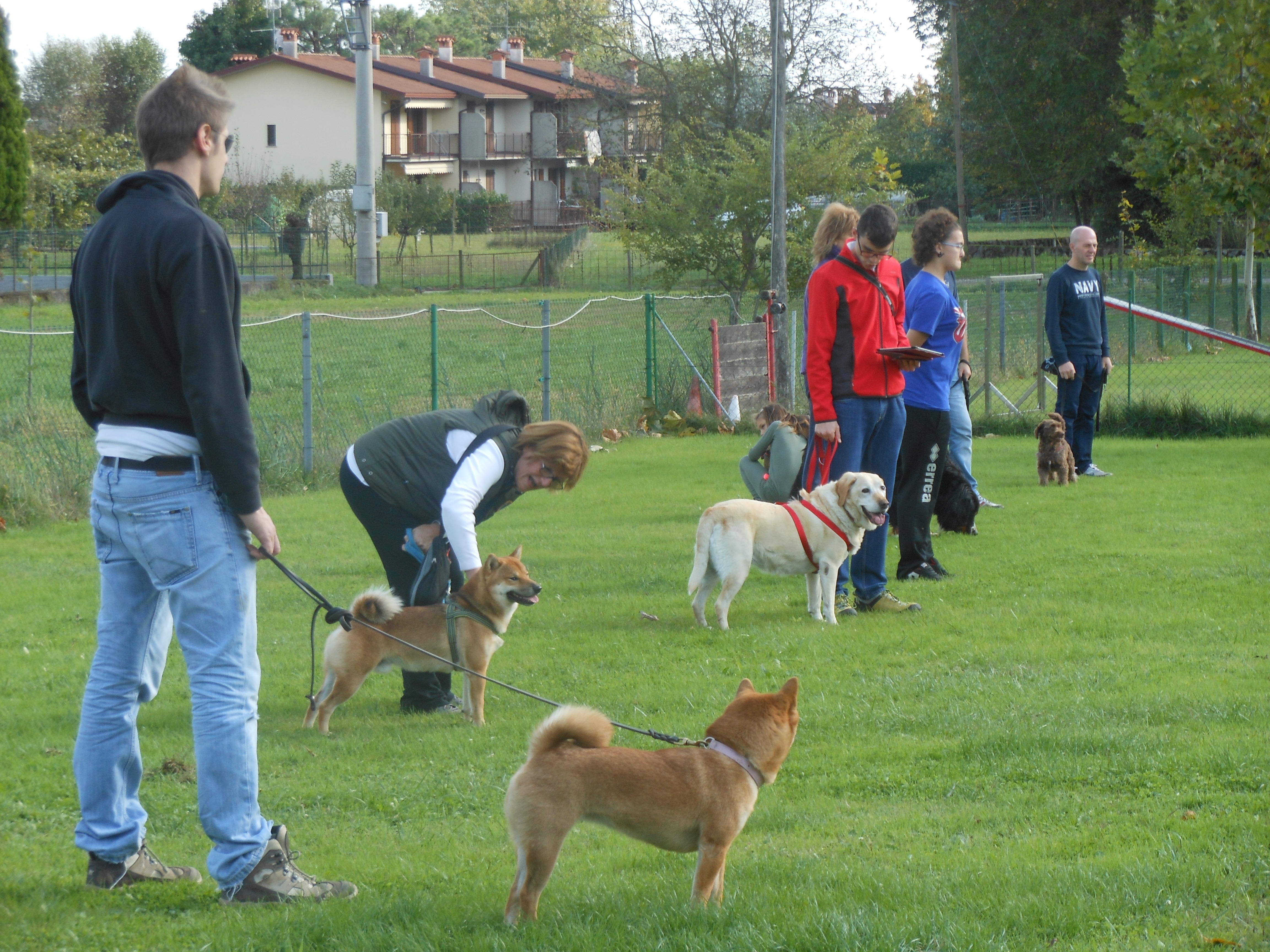 Lezioni di Gruppo